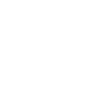 TSN Logo